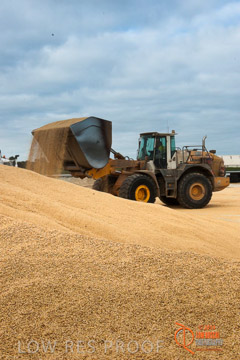 VITERRA 2013 / BUNKER_LOADER_038_140617