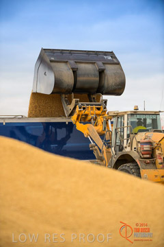 VITERRA 2013 / BUNKER_LOADER_040_140617
