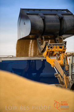 VITERRA 2013 / BUNKER_LOADER_041_140617