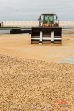 VITERRA 2013 / BUNKER_LOADER_045_140617