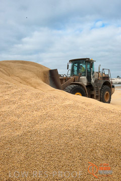 VITERRA 2013 / BUNKER_LOADER_049_140617