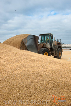 VITERRA 2013 / BUNKER_LOADER_050_140617