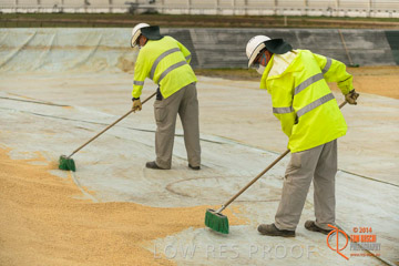 VITERRA 2013 / BUNKER_SWEEPING_002_140617