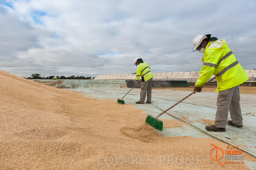 VITERRA 2013 / BUNKER_SWEEPING_006_140617