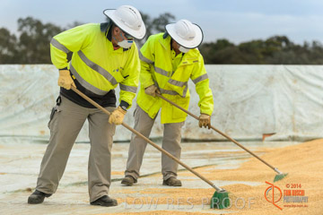 VITERRA 2013 / BUNKER_SWEEPING_009_140617