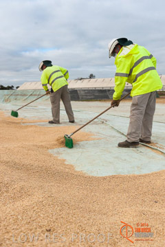 VITERRA 2013 / BUNKER_SWEEPING_011_140617