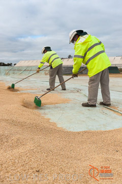 VITERRA 2013 / BUNKER_SWEEPING_012_140617