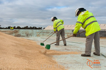 VITERRA 2013 / BUNKER_SWEEPING_016_140617