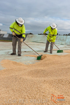 VITERRA 2013 / BUNKER_SWEEPING_021_140617