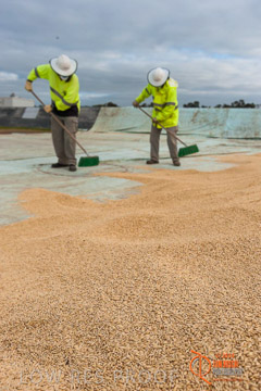 VITERRA 2013 / BUNKER_SWEEPING_022_140617