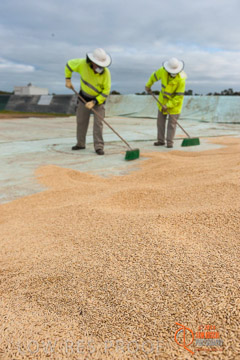 VITERRA 2013 / BUNKER_SWEEPING_023_140617