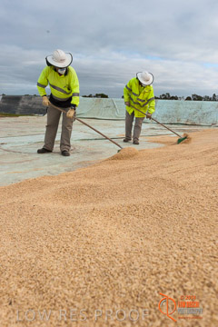VITERRA 2013 / BUNKER_SWEEPING_026_140617