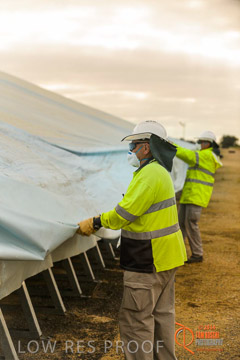 VITERRA 2013 / BUNKER_TARP_008_140617