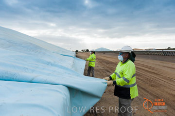 VITERRA 2013 / BUNKER_TARP_012_140617