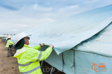 VITERRA 2013 / BUNKER_TARP_032_140617
