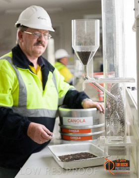 VITERRA 2013 / CANOLA_SCREENING_003_140617