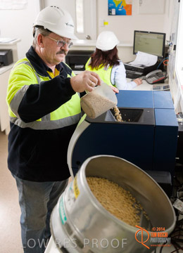 VITERRA 2013 / PROTEIN_TEST_002_140617