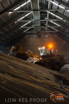 VITERRA 2013 / SHED_002_140617