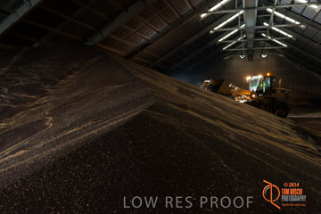 VITERRA 2013 / SHED_008_140617