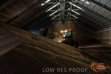 VITERRA 2013 / SHED_009_140617