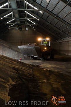 VITERRA 2013 / SHED_013_140617