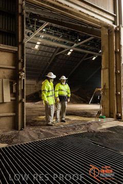 VITERRA 2013 / SHED_034_140617