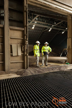 VITERRA 2013 / SHED_038_140617