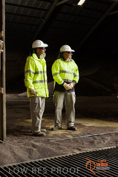 VITERRA 2013 / SHED_041_140617