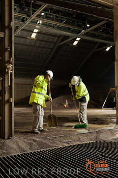 VITERRA 2013 / SHED_045_140617