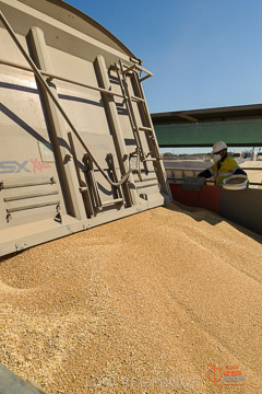 VITERRA 2013 / VITERRA_WALLAROO_038_140829