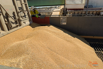 VITERRA 2013 / VITERRA_WALLAROO_046_140829