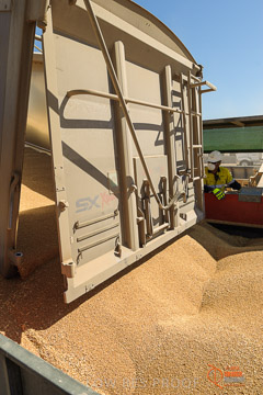 VITERRA 2013 / VITERRA_WALLAROO_048_140829