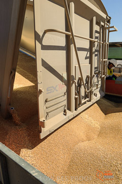 VITERRA 2013 / VITERRA_WALLAROO_053_140829