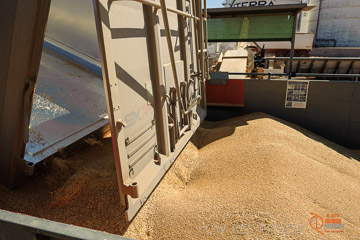 VITERRA 2013 / VITERRA_WALLAROO_055_140829