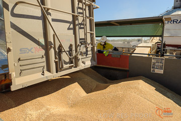 VITERRA 2013 / VITERRA_WALLAROO_058_140829