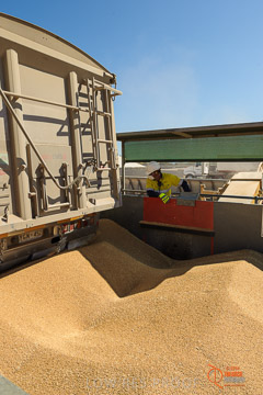 VITERRA 2013 / VITERRA_WALLAROO_060_140829