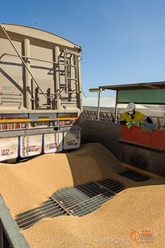 VITERRA 2013 / VITERRA_WALLAROO_065_140829