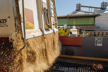 VITERRA 2013 / VITERRA_WALLAROO_081_140829
