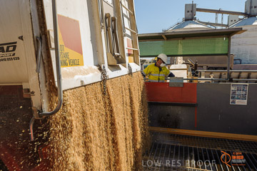VITERRA 2013 / VITERRA_WALLAROO_082_140829