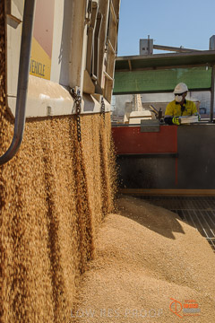 VITERRA 2013 / VITERRA_WALLAROO_093_140829