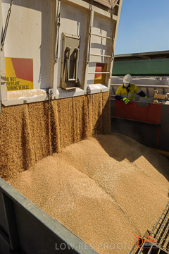 VITERRA 2013 / VITERRA_WALLAROO_111_140829