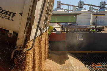 VITERRA 2013 / VITERRA_WALLAROO_122_140829