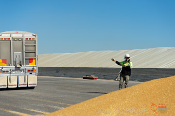 VITERRA 2013 / VITERRA_WALLAROO_156_140829