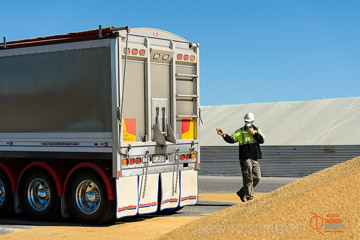 VITERRA 2013 / VITERRA_WALLAROO_162_140829