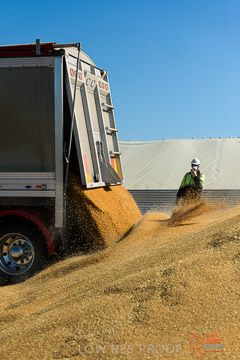 VITERRA 2013 / VITERRA_WALLAROO_165_140829