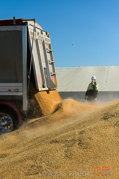 VITERRA 2013 / VITERRA_WALLAROO_167_140829