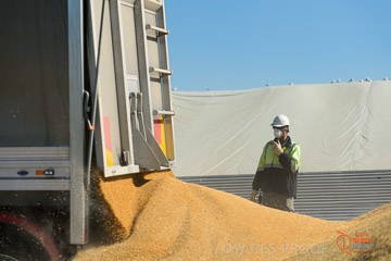 VITERRA 2013 / VITERRA_WALLAROO_170_140829