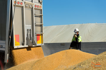 VITERRA 2013 / VITERRA_WALLAROO_176_140829