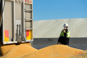 VITERRA 2013 / VITERRA_WALLAROO_180_140829