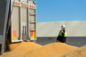 VITERRA 2013 / VITERRA_WALLAROO_181_140829